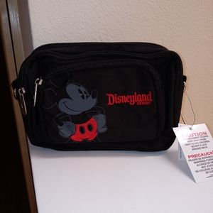 Disneyland Purse/Fanny Pack